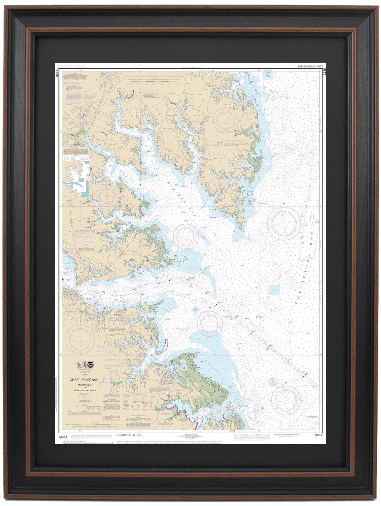 Framed Nautical Chart 12238 - Chesapeake Bay. Mobjack Bay and York River Entrance. NOAA 12238. Handmade in the USA.
