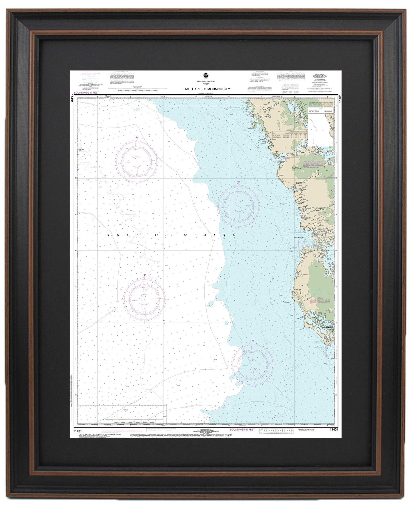 Framed Nautical Chart 11431 - East Cape to Mormon Key. NOAA 11431. Handmade in the USA.