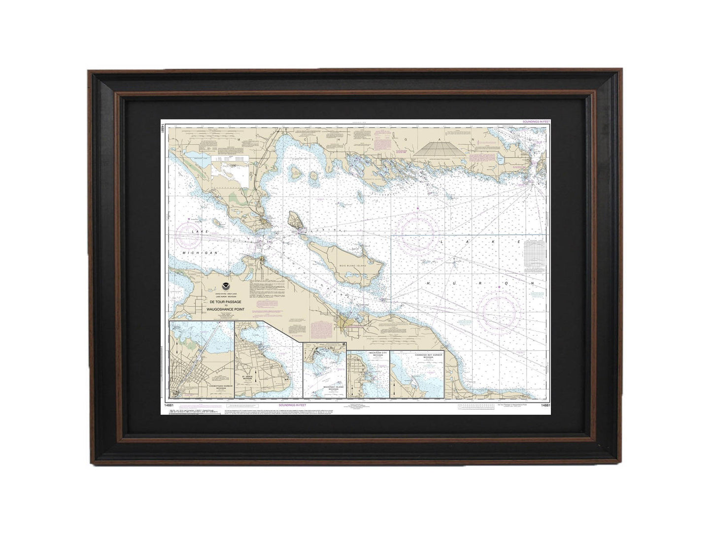 Framed Nautical Chart 14881 - Lake Huron, Detour Passage to Waugoshance Pt. NOAA 14881. Handmade in the USA.